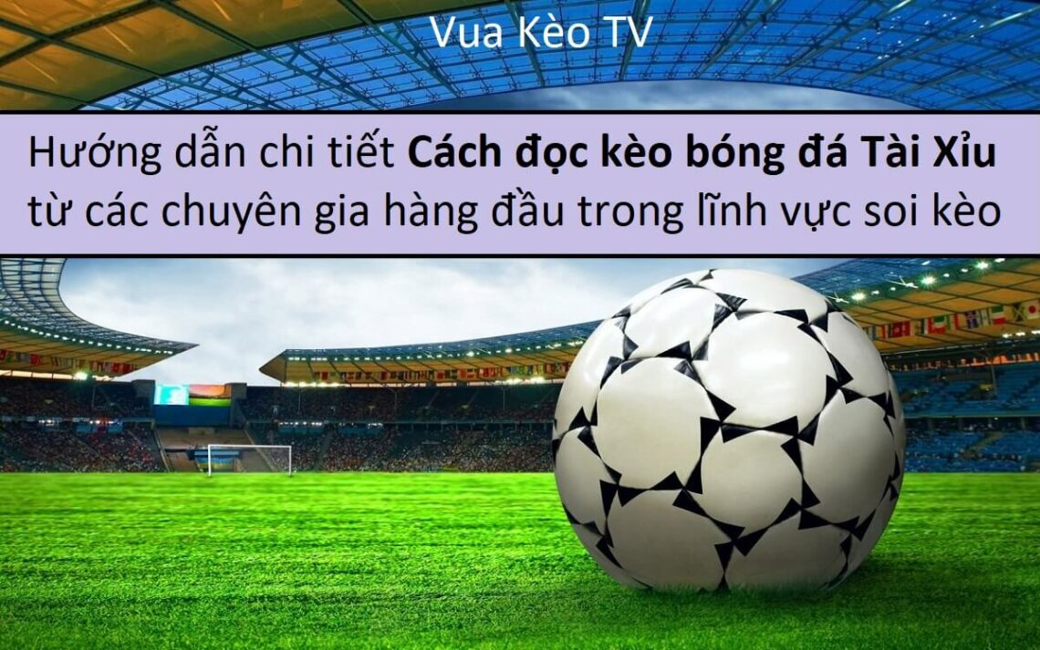 Hướng dẫn "cách đọc kèo bóng đá Tài Xỉu" từ các chuyên gia hàng đầu