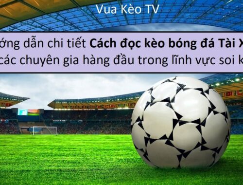 Hướng dẫn "cách đọc kèo bóng đá Tài Xỉu" từ các chuyên gia hàng đầu