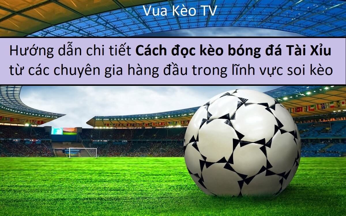 Tài Xỉu Bóng Đá Cách Đọc Kèo Và Bí Quyết Soi Kèo Chuẩn Xác