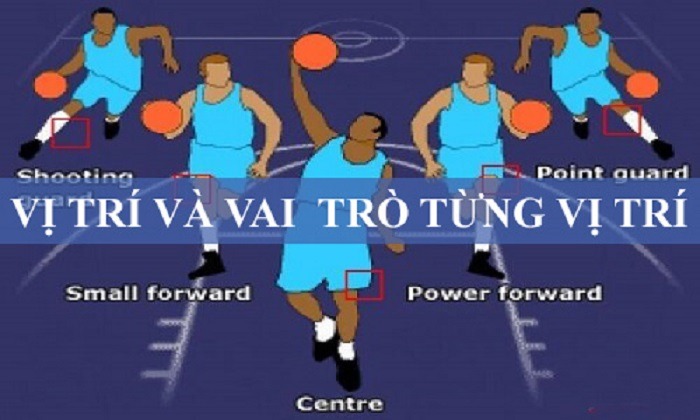 cac-vi-tri-trong-bong-ro